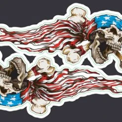 Lethal Threat Designs Lethal Threat USA Skull Mini Decals