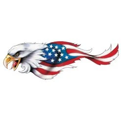 Lethal Threat Designs Lethal Threat USA Eagle Decal - Left