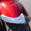 National Cycle Front Fender Tips For Rocket III